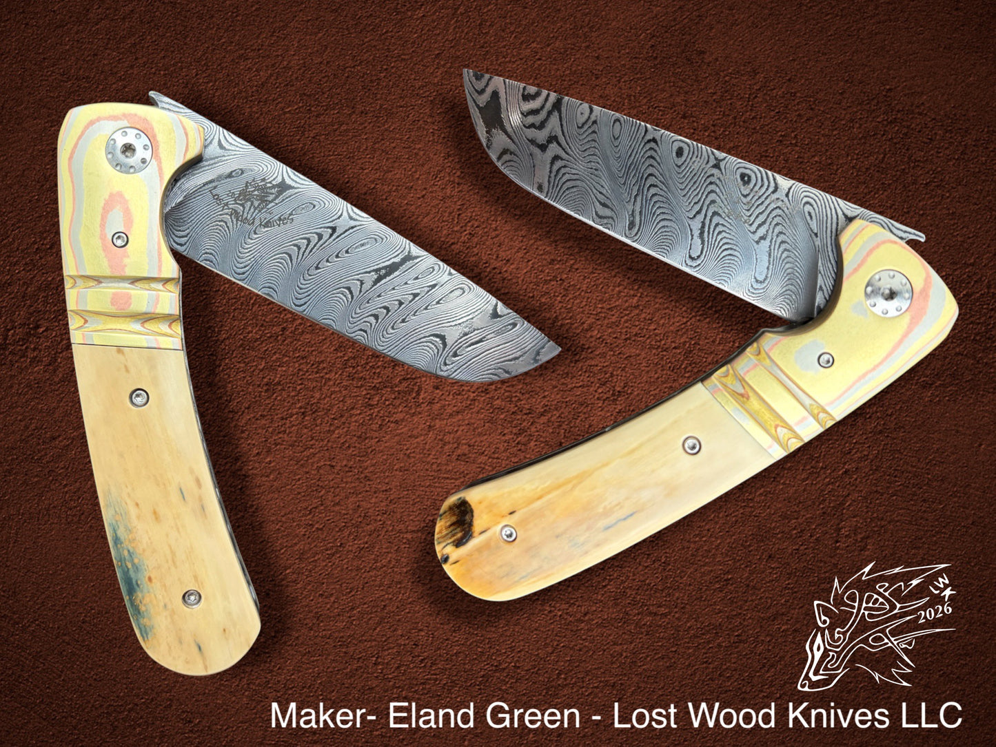 Greenland Wolf 019