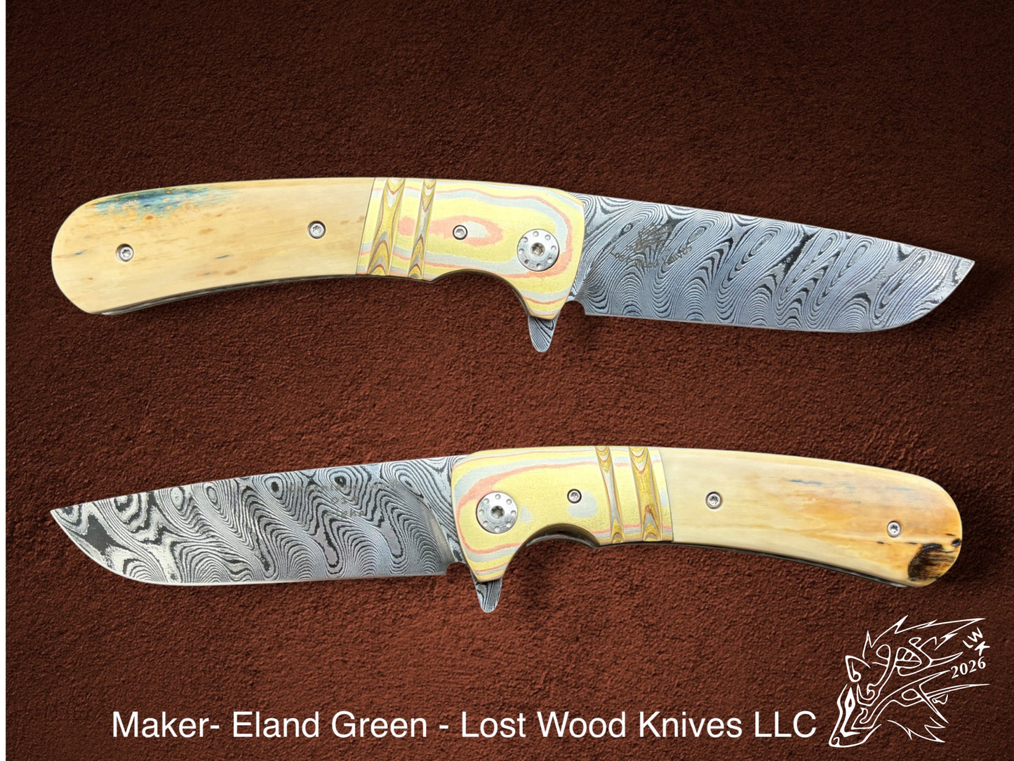 Greenland Wolf 019